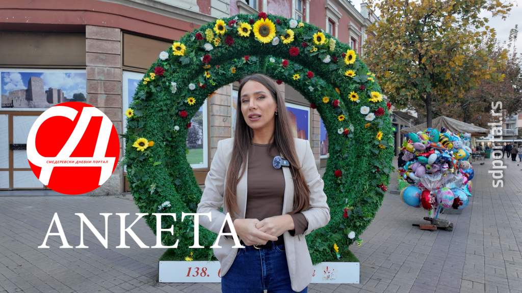 Подршка родитељству: Mере државе и локалне самоуправе